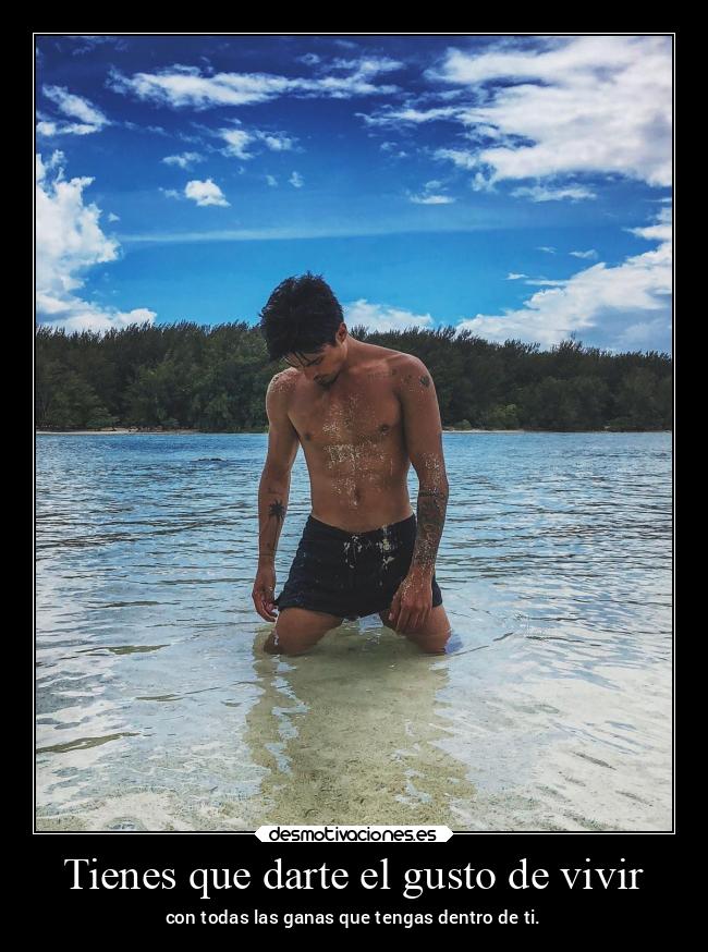 carteles vida desmoverano 2021 reciclandoimagenes desmotivaciones