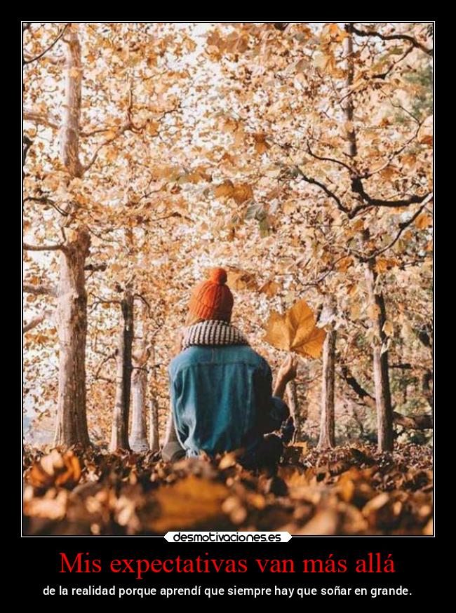 Mis expectativas van más allá - 