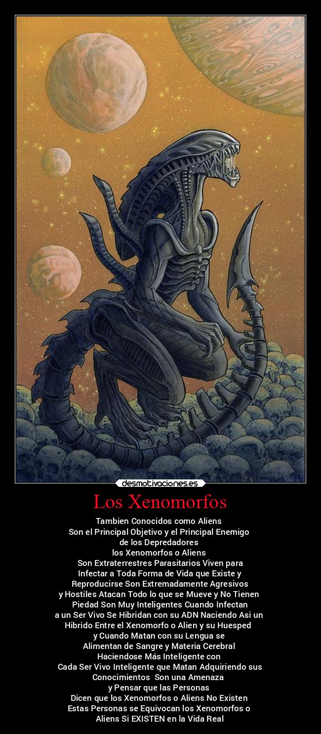 Los Xenomorfos -