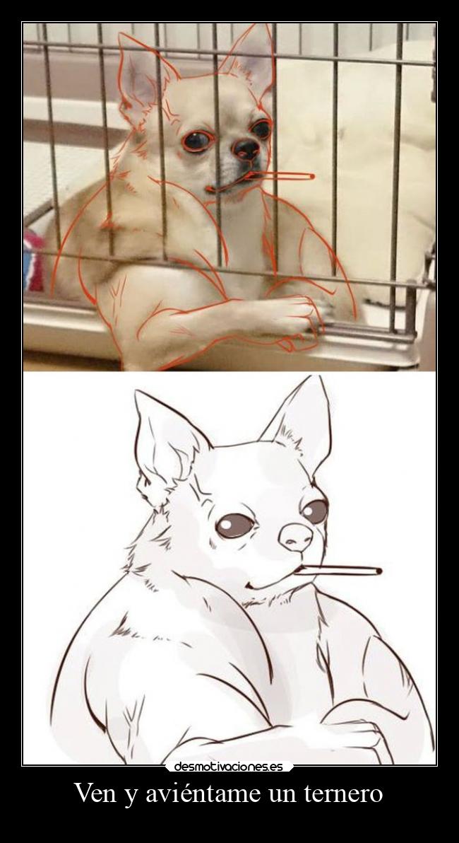Ven y aviéntame un ternero - 