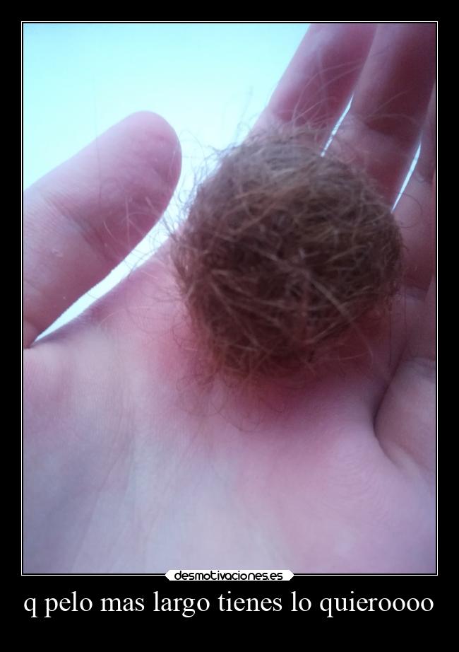 q pelo mas largo tienes lo quieroooo - 