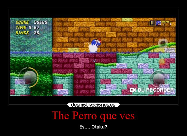 The Perro que ves - Es.... Otaku?