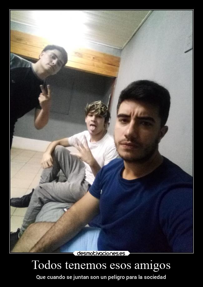 carteles amigos amigos desmotivaciones