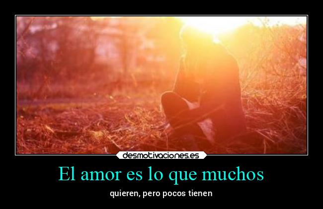 El amor es lo que muchos - 