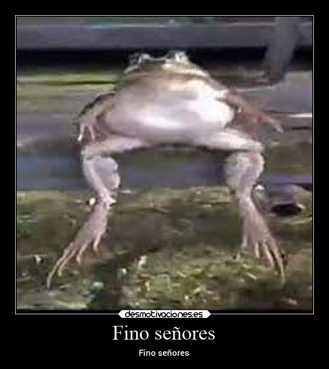 Fino señores - Fino señores