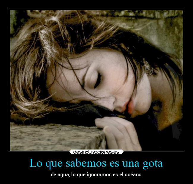 Lo que sabemos es una gota - 