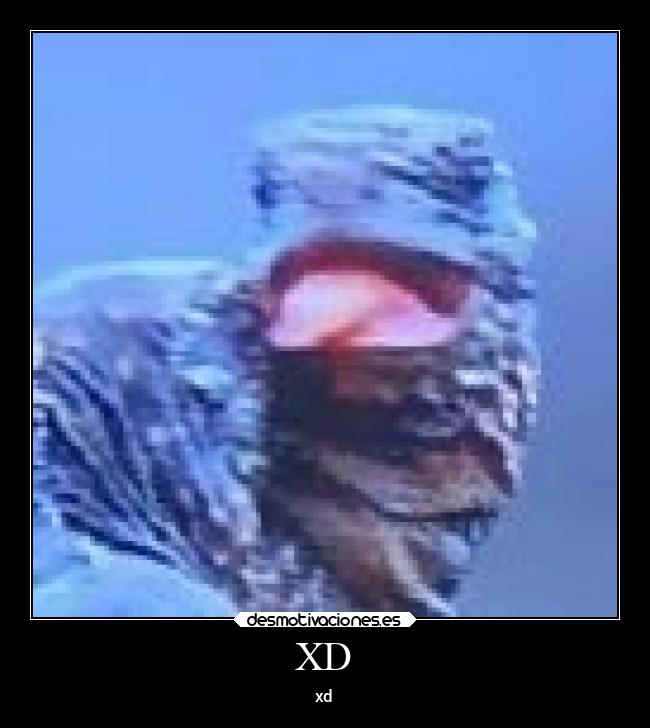 XD - xd