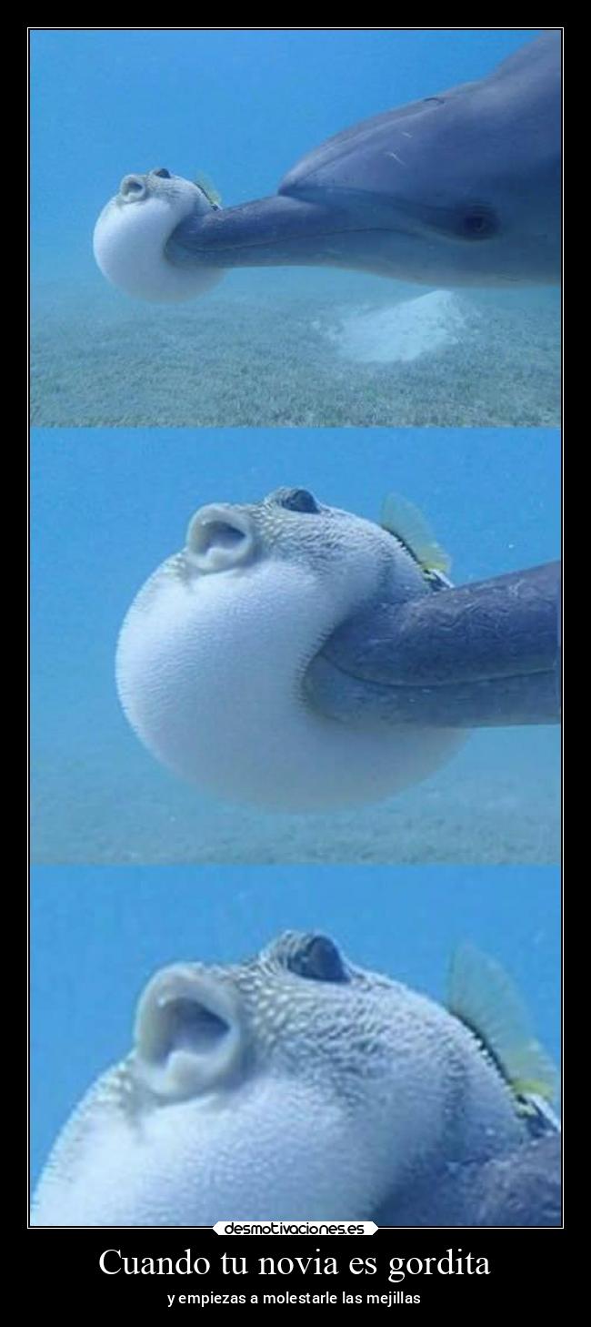 Cuando tu novia es gordita - y empiezas a molestarle las mejillas