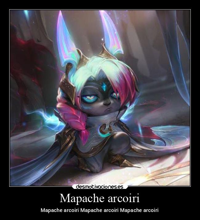 Mapache arcoiri - Mapache arcoiri Mapache arcoiri Mapache arcoiri