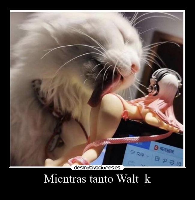 Mientras tanto Walt_k - 