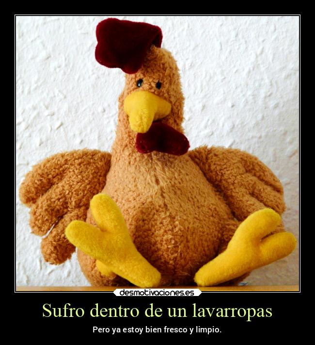 carteles debilidad pollo peluche munieco desmotivaciones