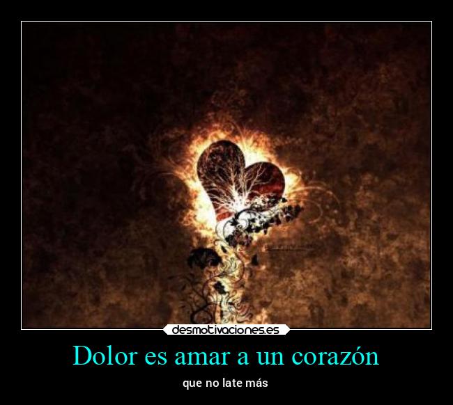 Dolor es amar a un corazón - 