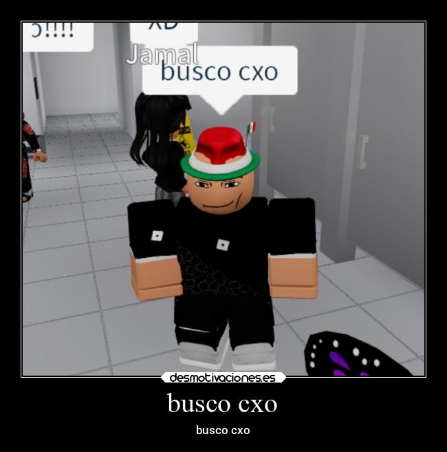 busco cxo - 