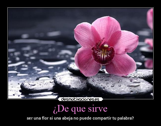 ¿De que sirve -