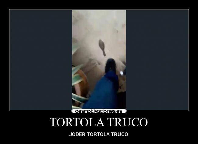 carteles memes desmotivaciones