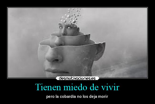 Tienen miedo de vivir - 