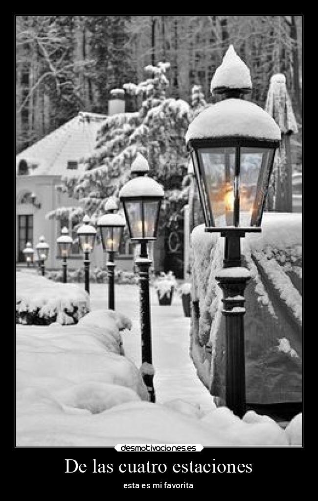 carteles naturaleza gustos desmotivaciones