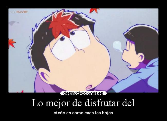 Lo mejor de disfrutar del - otoño es como caen las hojas