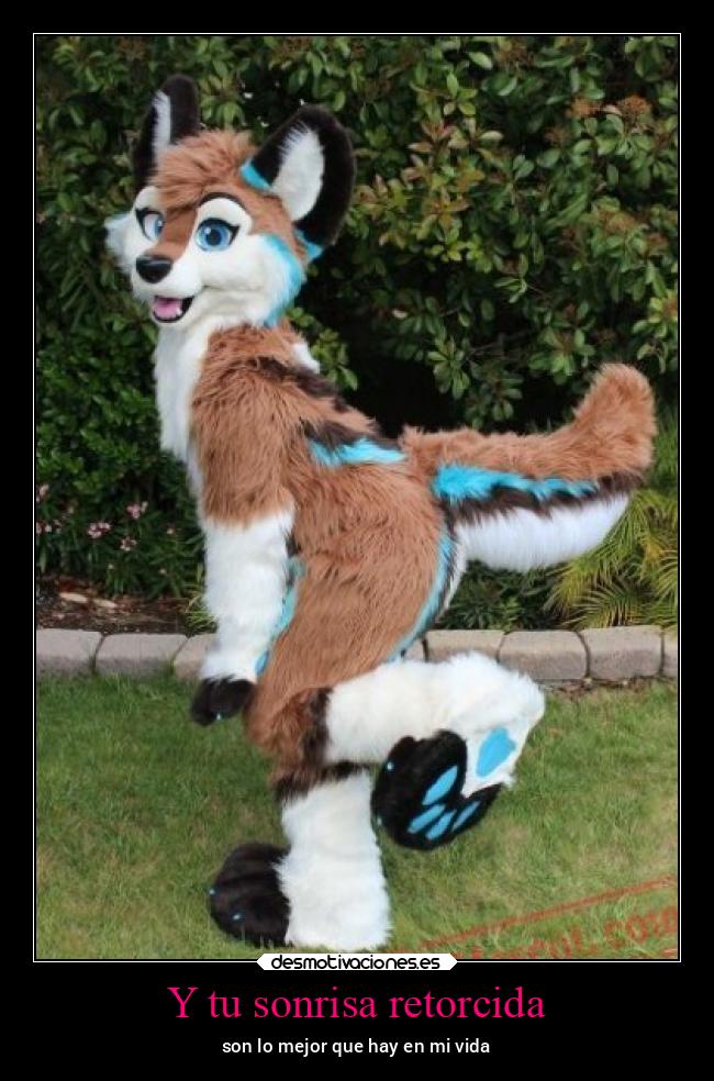 carteles sonrisa besos amor bogota furry desmotivaciones