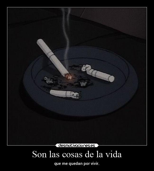 Son las cosas de la vida - 