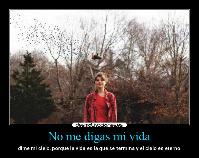 No me digas mi vida - 