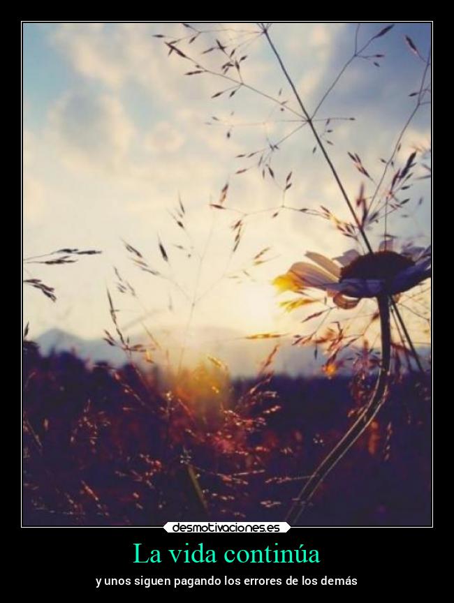 La vida continúa - 