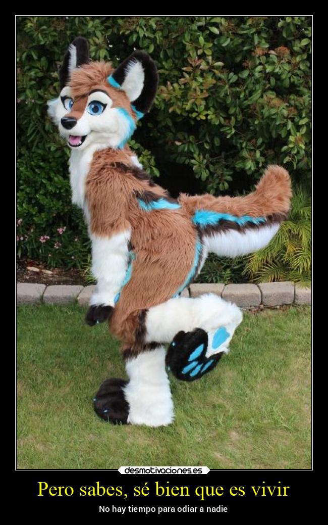 carteles alma bogota soyundiotatm lossupervivientes desmotivaciones