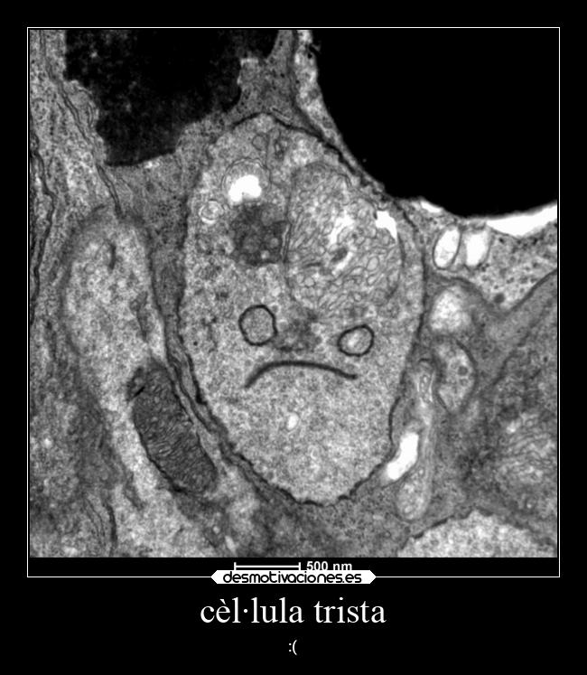 cèl·lula trista - :(