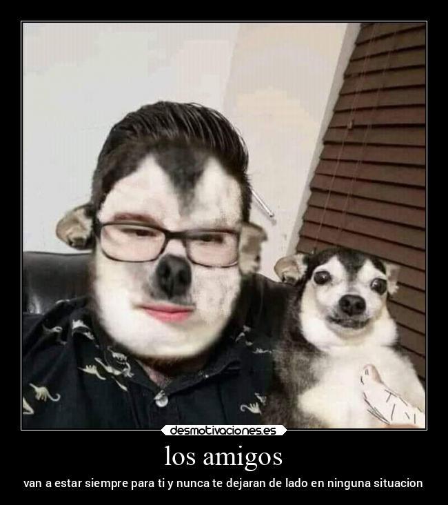 carteles amigos confianza desmotivaciones