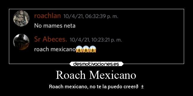 Roach Mexicano - Roach mexicano, no te la puedo creer😱