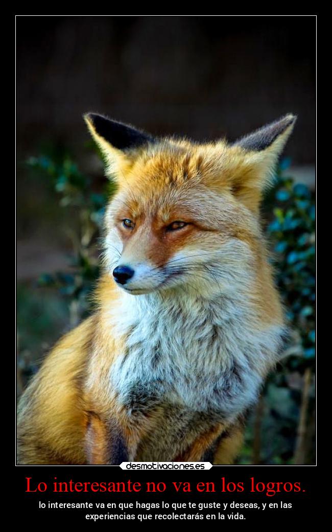 Lo interesante no va en los logros. - lo interesante va en que hagas lo que te guste y deseas, y en las
experiencias que recolectarás en la vida.