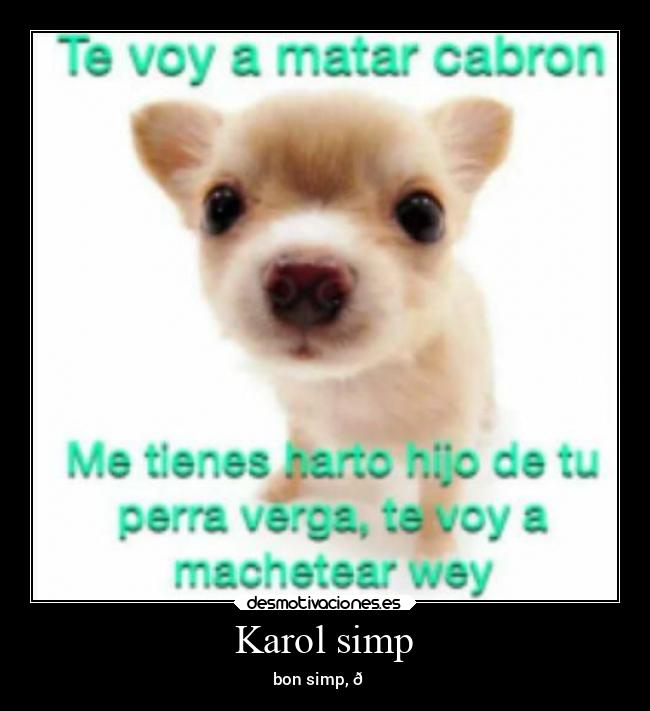 Karol simp - bon simp, 😔