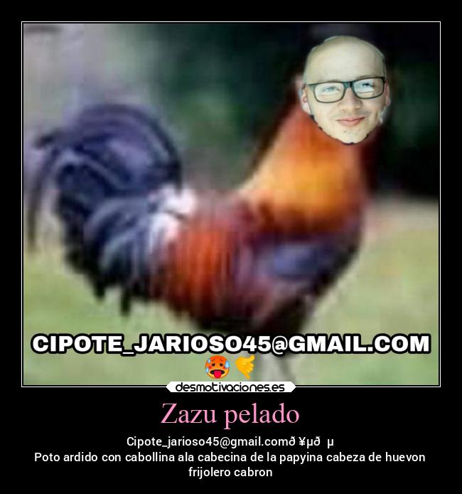 Zazu pelado - Cipote_jarioso45@gmail.com🥵🐵
Poto ardido con cabollina ala cabecina de la papyina cabeza de huevon
frijolero cabron