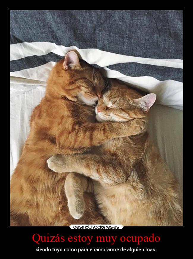 Quizás estoy muy ocupado - siendo tuyo como para enamorarme de alguien más.