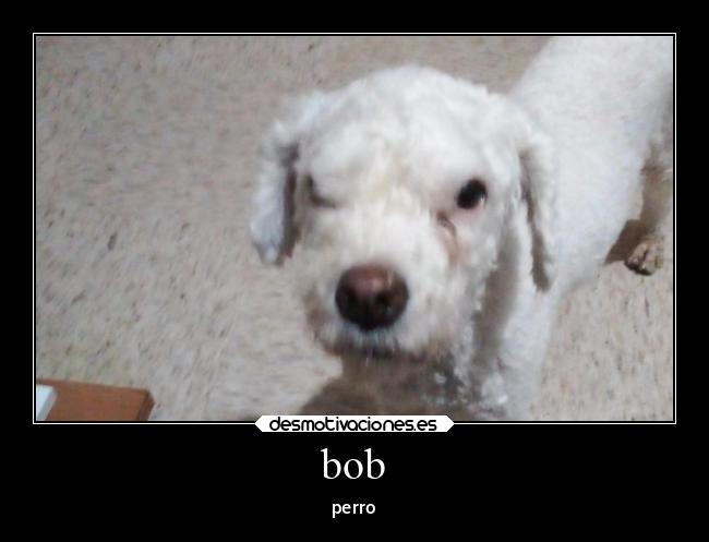 carteles anime desmotivaciones