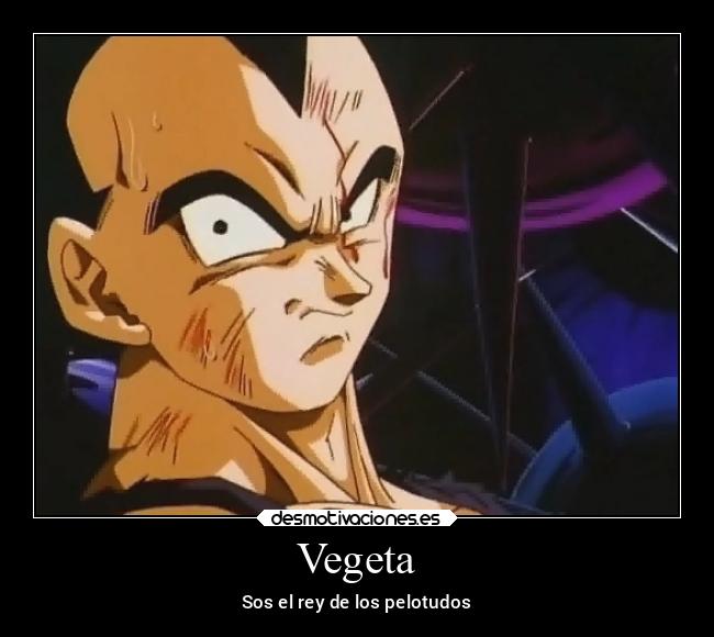carteles anime desmotivaciones