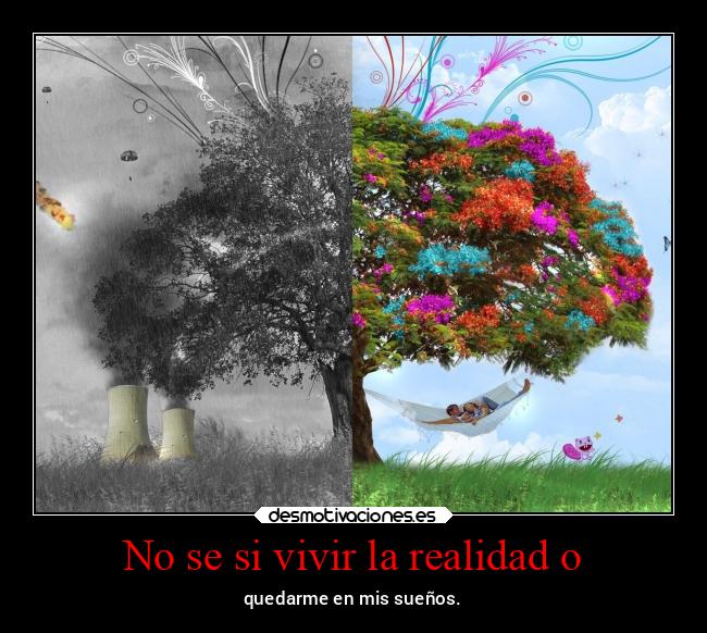 No se si vivir la realidad o - 