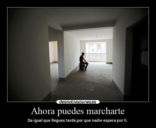 Ahora puedes marcharte -