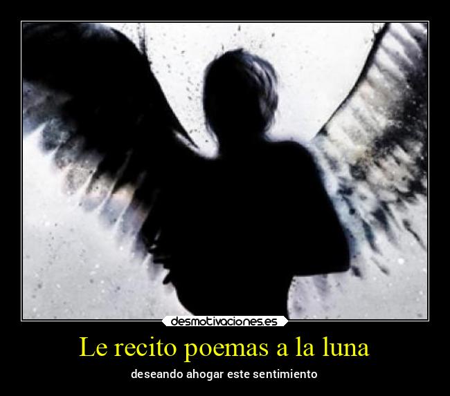 Le recito poemas a la luna - 
