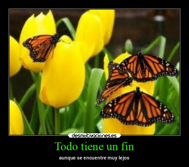 carteles bogota guerra frases fiesta familia lunaagnes desmotivaciones