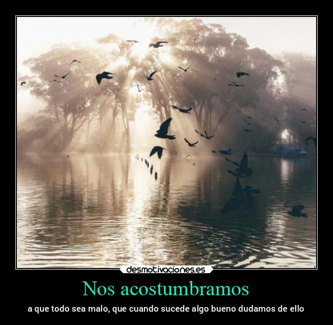 Nos acostumbramos - 
