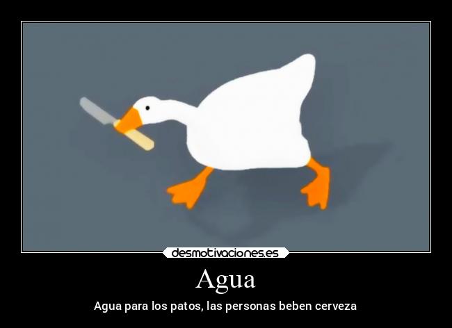 Agua - Agua para los patos, las personas beben cerveza