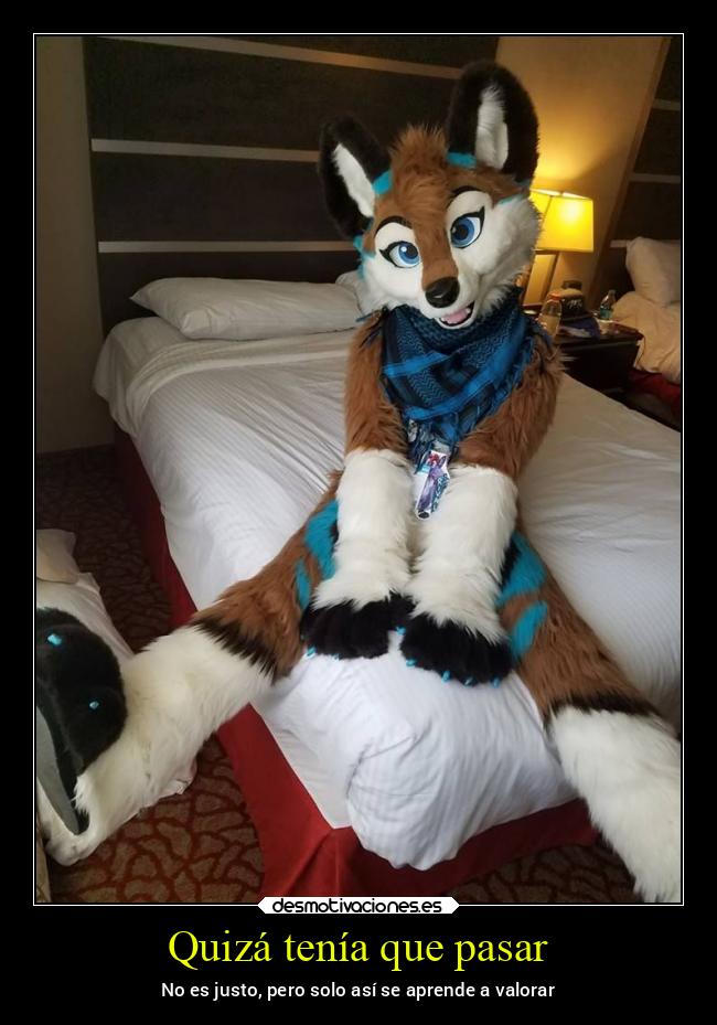 Quizá tenía que pasar - No es justo, pero solo así se aprende a valorar