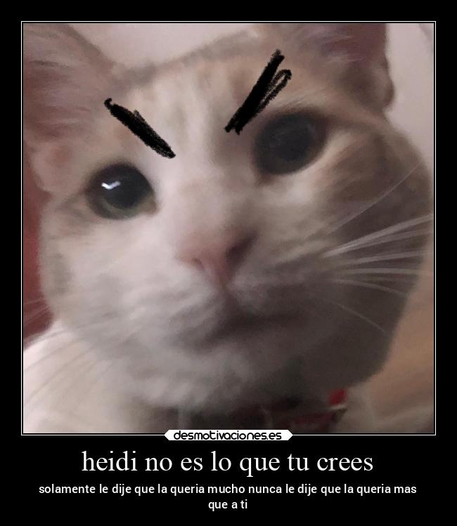 carteles chiste desmotivaciones