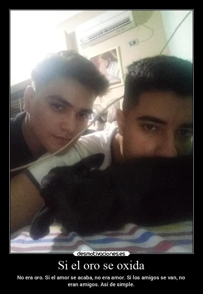 carteles desmotivaciones sociedad amistad amigos amor desamor sabiduria reflexion desmotivaciones