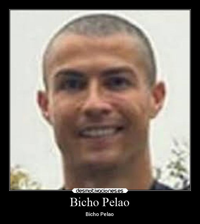 carteles dolor pelao desmotivaciones