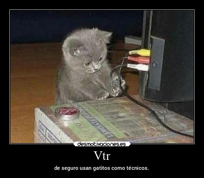 Vtr - de seguro usan gatitos como técnicos.