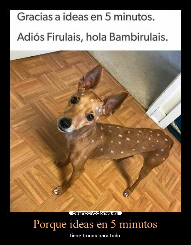Porque ideas en 5 minutos - 