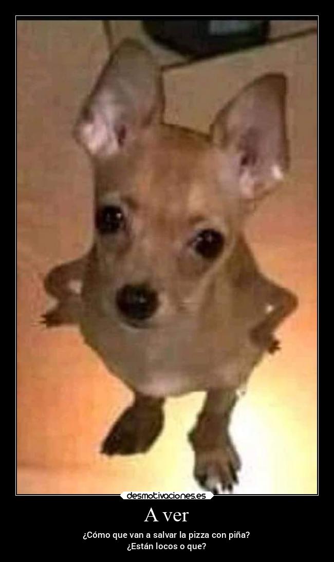 A ver - ¿Cómo que van a salvar la pizza con piña?
¿Están locos o que?
