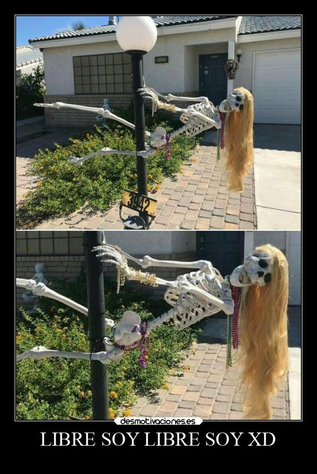 carteles memes risa muerte desmotivaciones